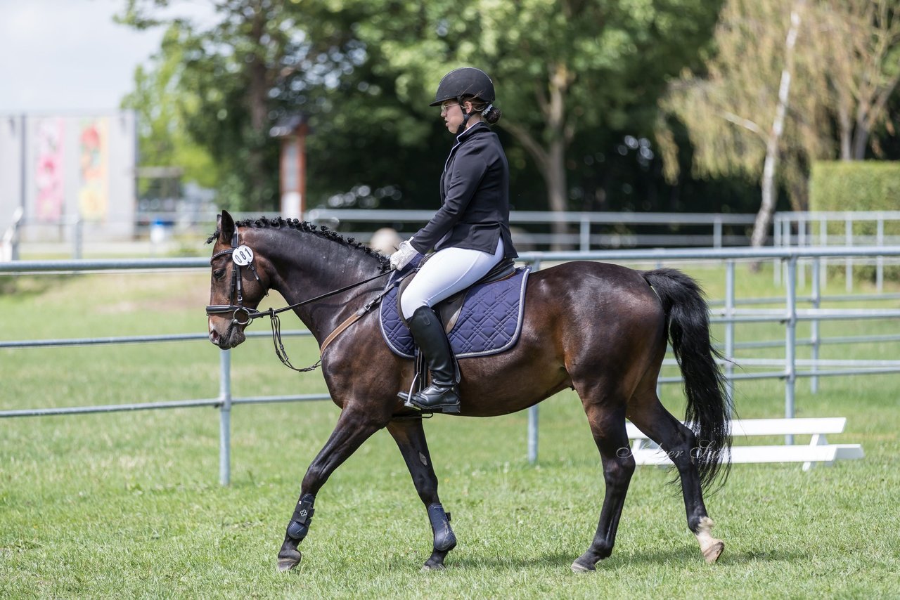 Bild 5 - Pony Akademie Turnier